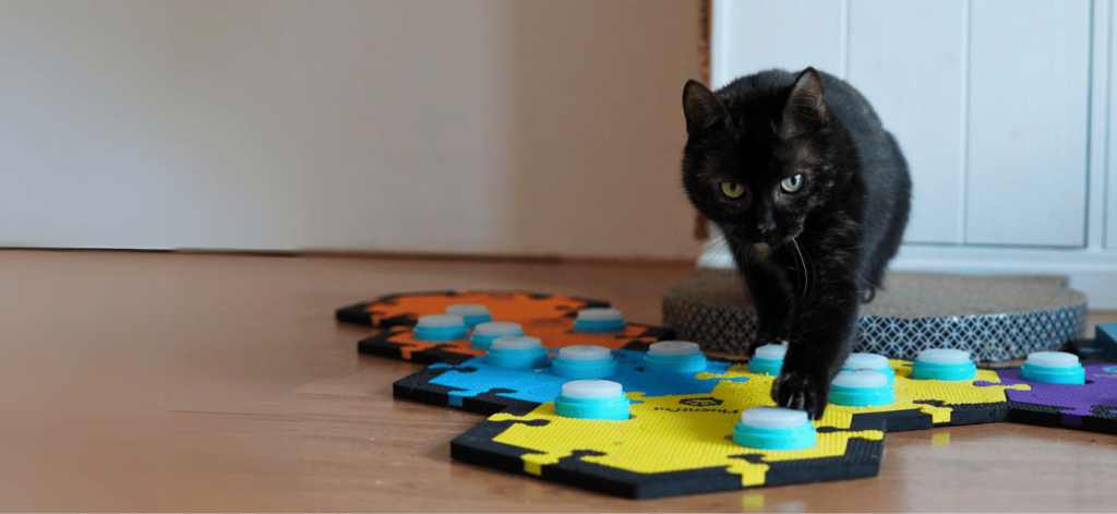 Ivy die haar FluentPet buttons gebruikt