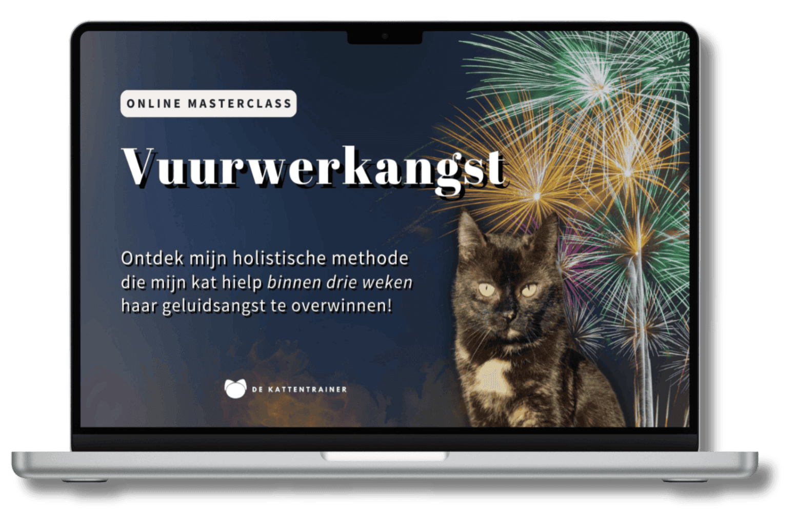 laptop online matsterclass vuurwerkangst