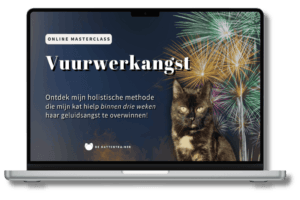Laptop toont de masterclass vuurwerktraining met kat Ivy, terwijl op de achtergrond siervuurwerk afgaat