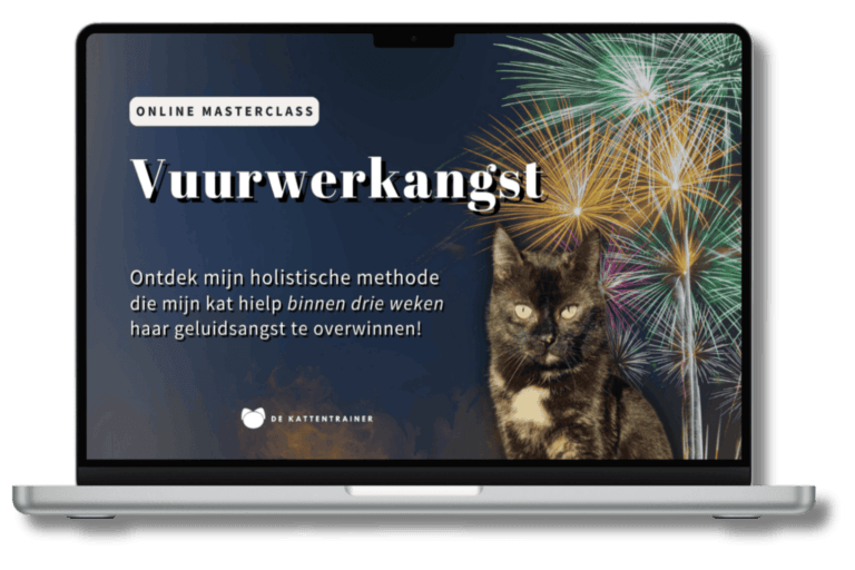 Laptop toont de masterclass vuurwerktraining met kat Ivy, terwijl op de achtergrond siervuurwerk afgaat