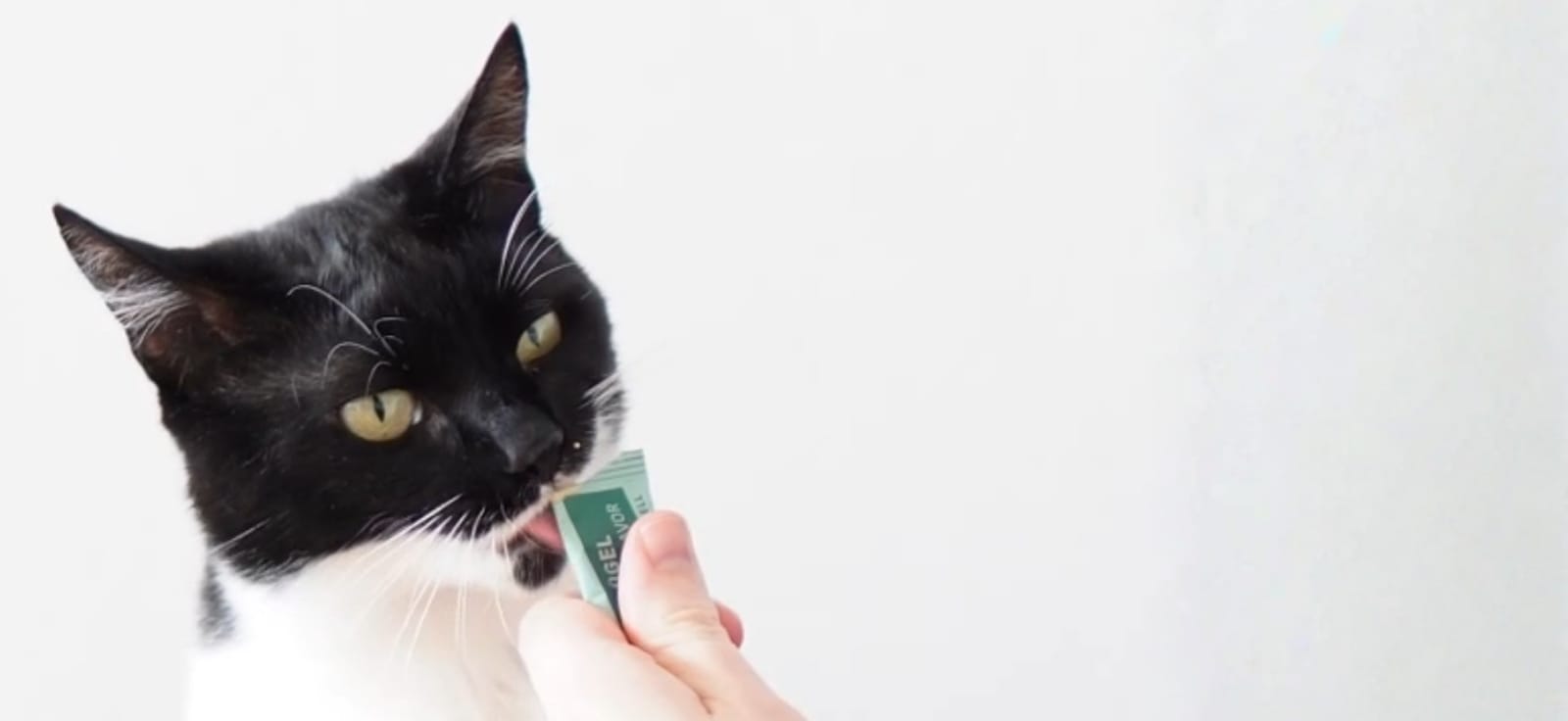 Kat Noor geniet van een caloriearme liquid snack tijdens training om gezond af te vallen