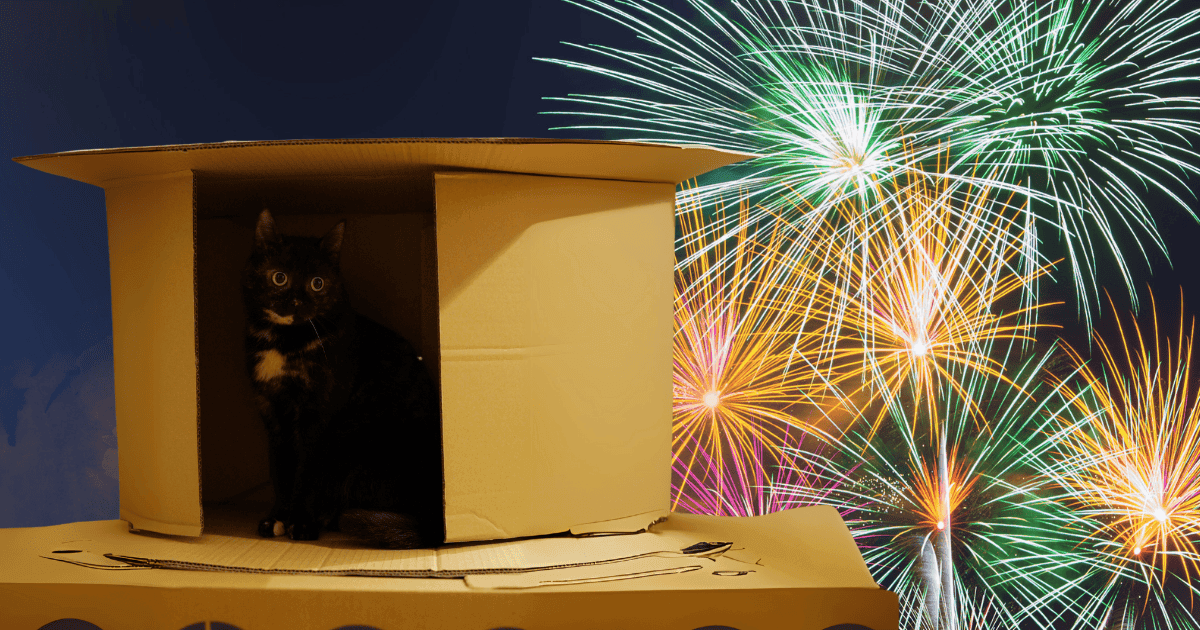 Ben ik te laat om te starten met vuurwerktraining