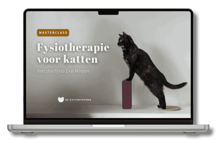 Laptop mock-up met Masterclass Fysiotherapie Kat van dierfysiotherapeut Eva Minjon