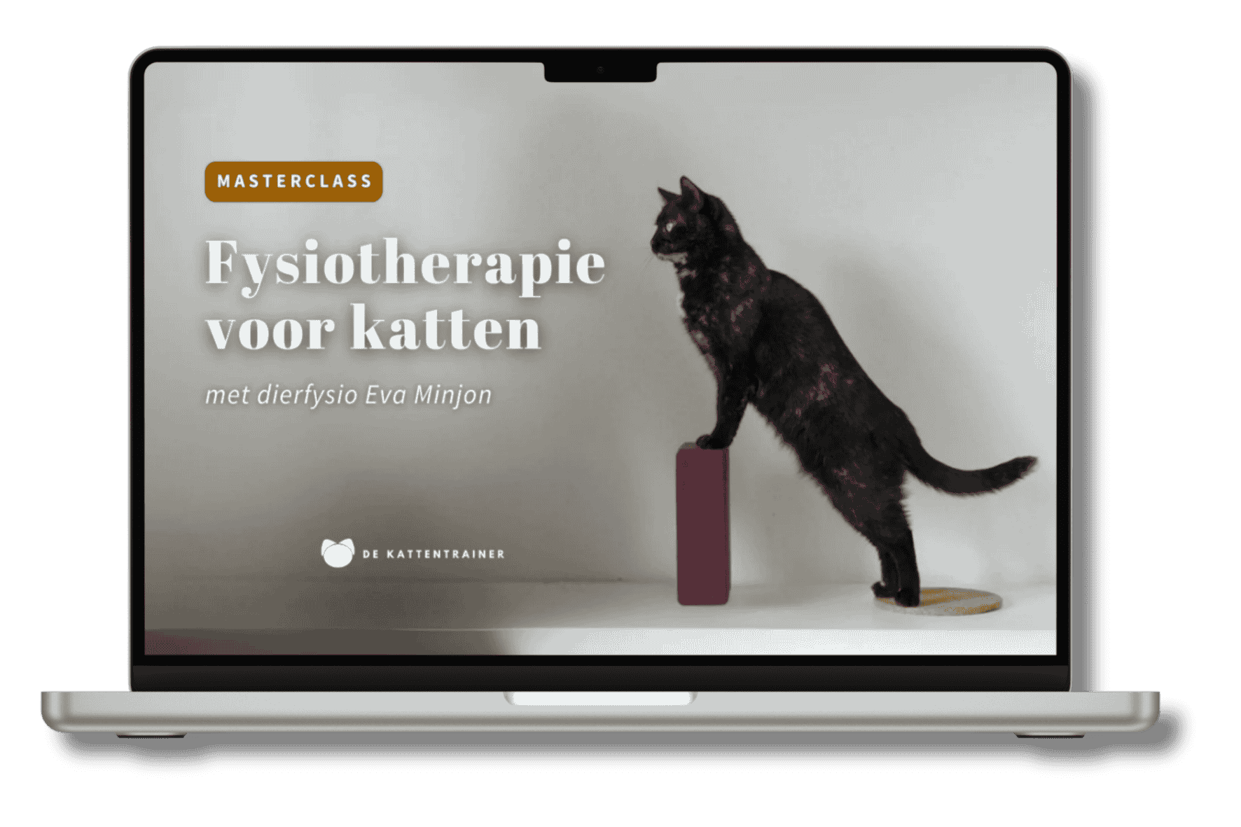 Laptop mock-up met Masterclass Fysiotherapie Kat van dierfysiotherapeut Eva Minjon