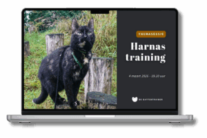 Kat loopt ontspannen met harnas na positieve training