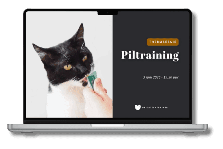 Kat krijgt rustig een pil dankzij training zonder dwang