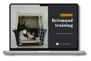 Kat leert ontspannen in de reismand tijdens training van De Kattentrainer