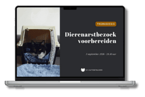 Kat ontspannen bij dierenarts na voorbereidingstraining