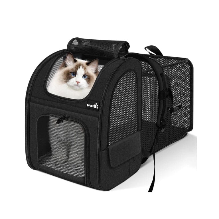 Rugzak voor kat - Pecute rugzak voor katten, geschikt voor wandelen en veilig vervoer van je kat