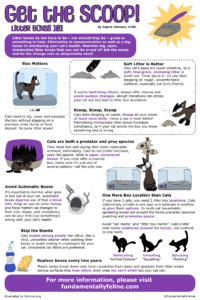 infographic basisregels kattenbak kattenbakgebruik katten
