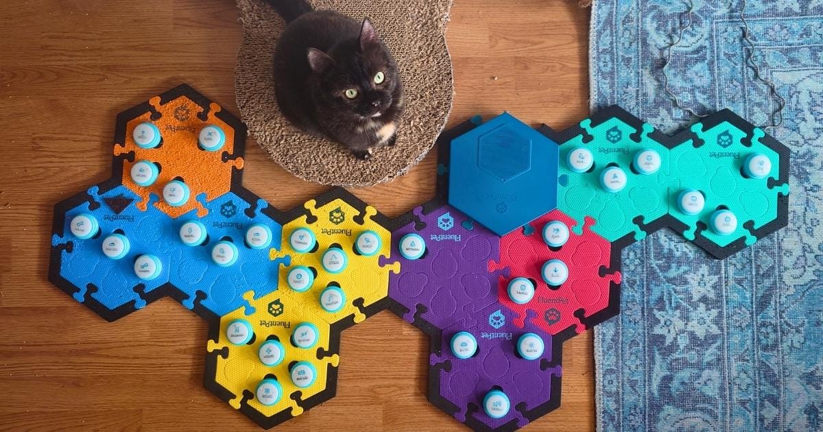 Ivy gebruikt de beste praatknoppen voor katten van FluentPet Connect