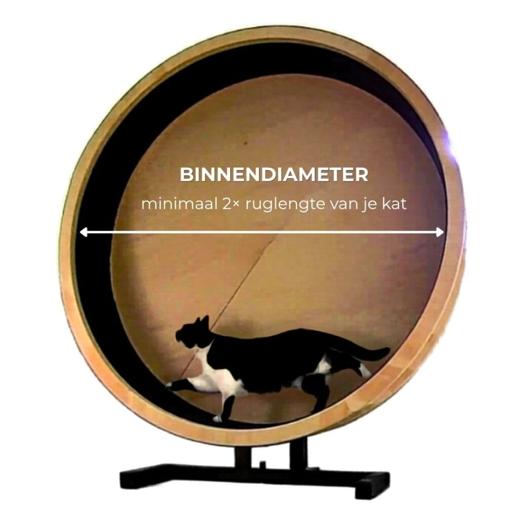 Uitleg kattenloopwiel binnendiameter met kat Noor en 2x ruglengte regel
