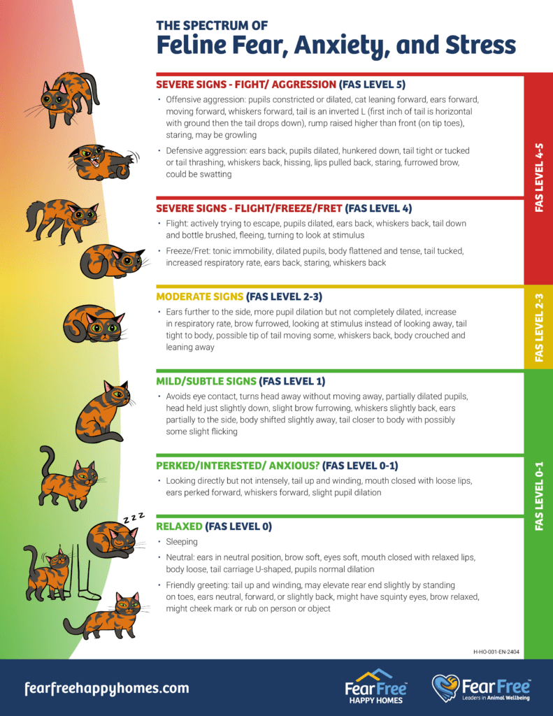 FAS-schaal katten: de niveaus van angst, stress en ontspanning visueel uitgelegd door Fear Free Happy Homes
