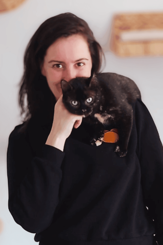 Kat trainen? Judith De Kattentrainer helpt stress verminderen en de band met je kat versterken!